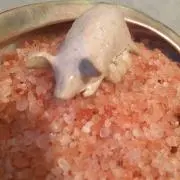 ユカの画像
