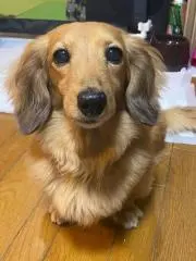 ター坊の画像