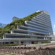 あかさの画像