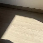 オウキの画像