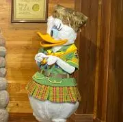 ナオの画像