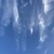 Nの画像