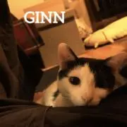 のば