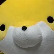 雪歌の画像
