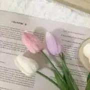 aiueo＊の画像