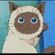 かるぴん