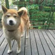 YU@の画像