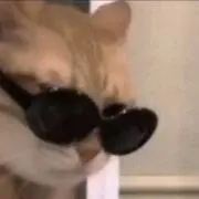 Rayanの画像