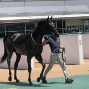 くろのの画像
