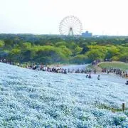 naru☆値下げ交渉OK★