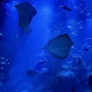 Q.【⚠️プロフ必見 】の画像