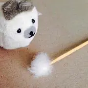 ぱみ