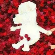 Vante（ヴァンテ）の画像