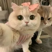 未央．の画像