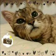 ちーこ