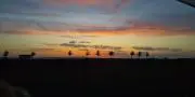 MASAの画像