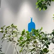 ドラちゃんの画像