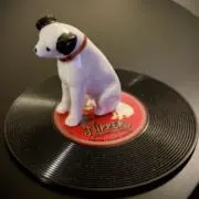 nipperの画像