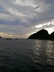 OCEANの画像