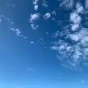 かぷの画像