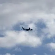 とっぽぎの画像