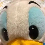 あーちの画像