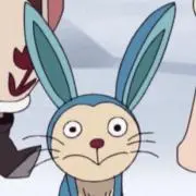 ぴのぴの