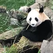 えむはちの画像