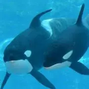 出品した物１９日削除