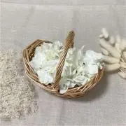 pompomの画像