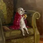 え*る様 【最終値下げ】ペテンシーフシギバース - メルカリ