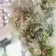ticoticoの画像