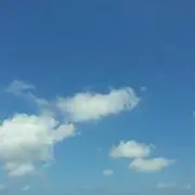 ワンスの画像