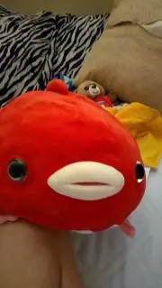 赤髪の画像