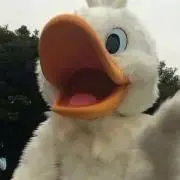 あーち✽プロフ必読✽の画像