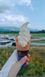 ソフトの画像