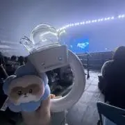 はなの画像
