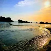 pe-moの画像