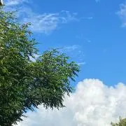 よしこ