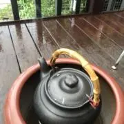 ゴリランド