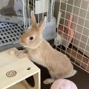 さなの画像