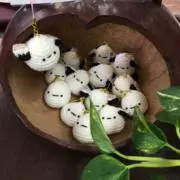 ハナフイの画像