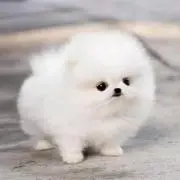 ︎さんその画像