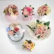 aoisoraの画像