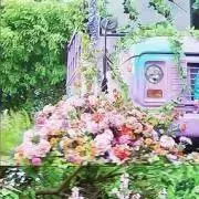 モコモコの画像