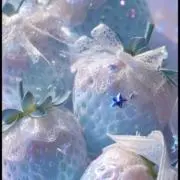いちごの画像