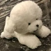 ちむ