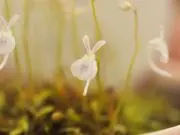 るー‧⁺ ⊹˚.美容アイテムお譲りしますの画像