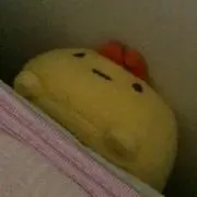 るかの画像