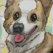 しっぽの画像